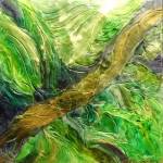 La forêt merveilleuse 